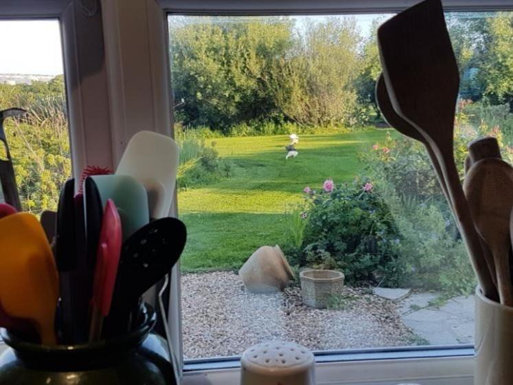 Jurassic Loft Apartment Weymouth Zewnętrze zdjęcie